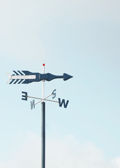 Birte Siedenberg | Coach & Consult