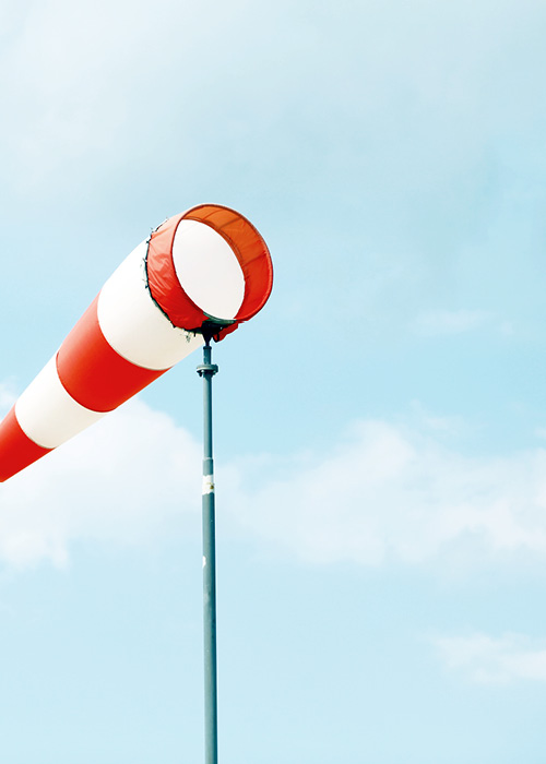 Birte Siedenberg | Coach & Consult